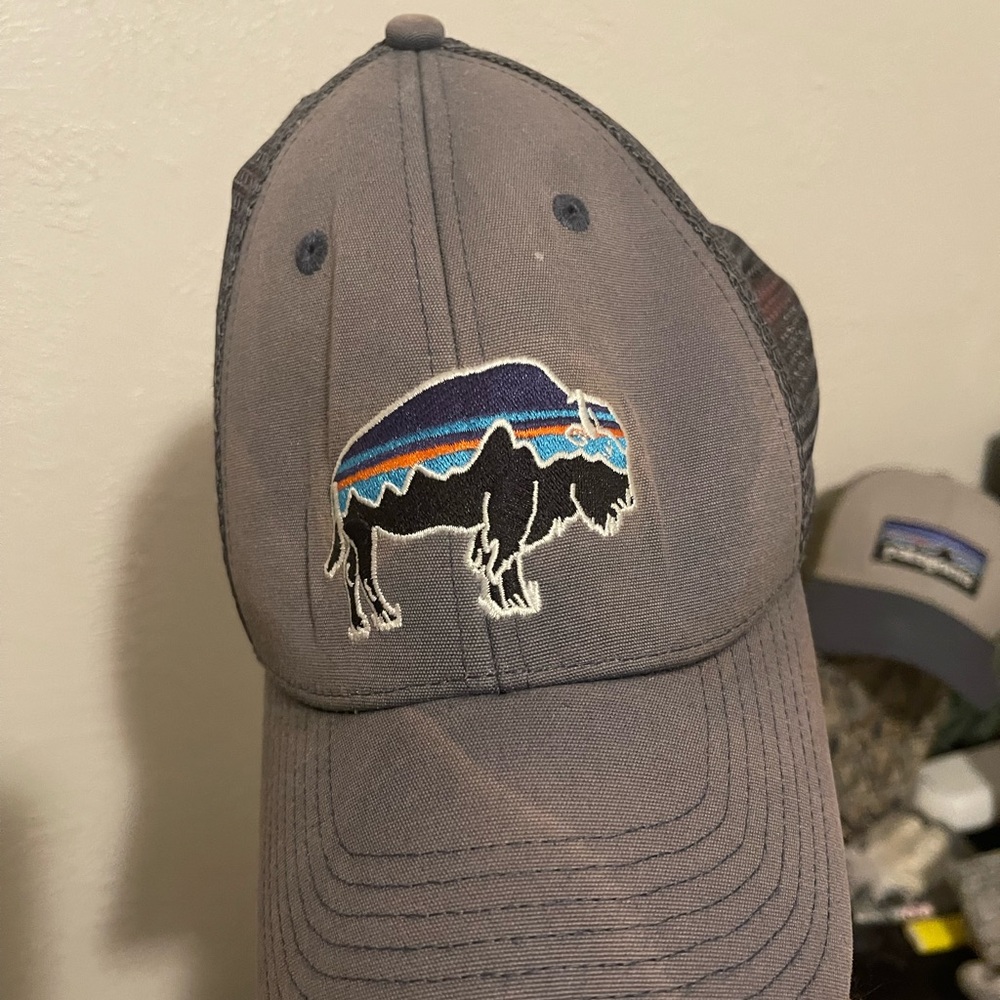 Patagonia Fitz Roy Bison LoPro Hat
